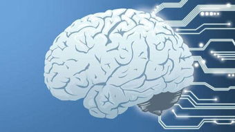 新型人工智能算法：揭示人脑导航代码的秘密，重塑我们对空间方向的认识