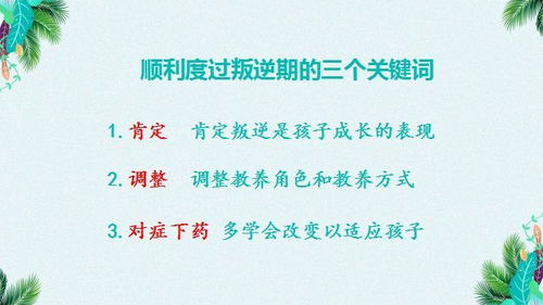 孩子为何总是与你对着干：青春叛逆的深度剖析——一份全面解读的心理指南