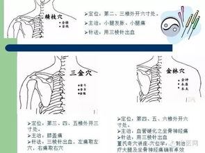 揭秘：宠物的神奇针灸疗法 - 了解其背后的科学原理与实际应用