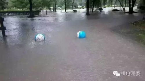 南海突发大范围暴雨 南方地区未来三天将迎来强降雨