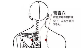 1. 让中医药减脂美食知识深入理解：学习穴位推拿
2. 孩子们的最爱：中医药减脂美食营养解析
3. 穴位推拿与减脂美食：让孩子掌握健康生活方式
4. 中医理论与实践：让我们一起探索调理方法