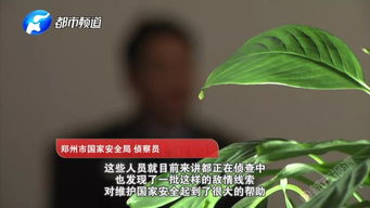 谨慎关注：网络间谍的阴谋正在悄悄渗透我国稻种