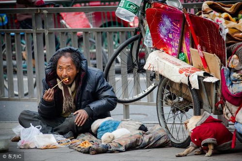 5岁盲童艰辛求生，如何通过街头乞讨赚取全家财富？这份特殊‘亲情’值得我们深思