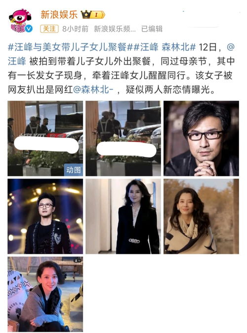 网友热议：汪峰的最新恋情：不是三婚而是七婚靠打拼和八离世家