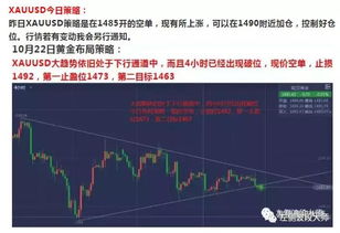 阿里：初期投入现初步成效，后续利润逐日跟进