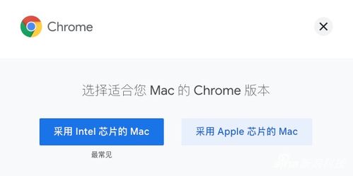 苹果芯片问题：你的浏览器可能无法支持
