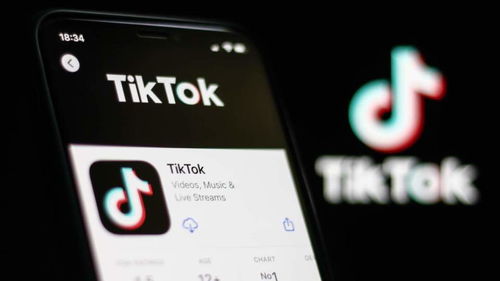 TikTok创联合起诉美国联邦政府：挑战拜登团队的竞选策略