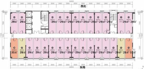 《乘风2024》退赛理由出人意料，让众人震惊！