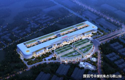 《乘风2024》退赛理由出人意料，让众人震惊！