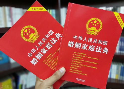 广州法院裁定：年迈的母亲离家出走后，女儿争取抚养权案终于得到公正审理