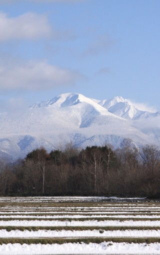 品味山川之韵：凝视《平原与山道》