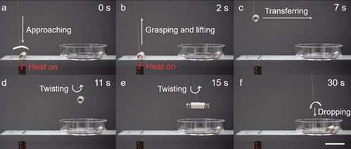 科学家探索新领域：新型液晶弹性体的研发与应用研究