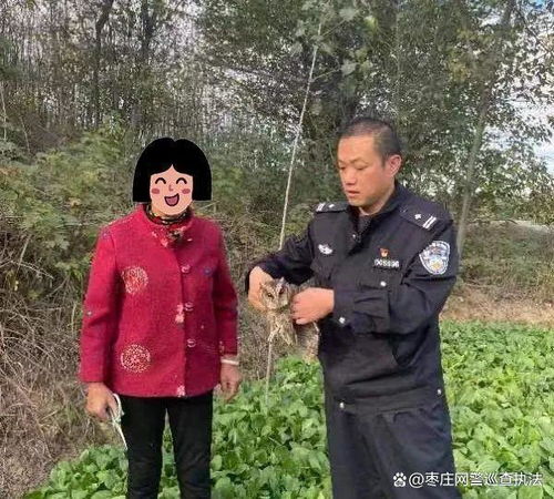 大眼‘萌’禽在校园中流落，警民合力成功救助