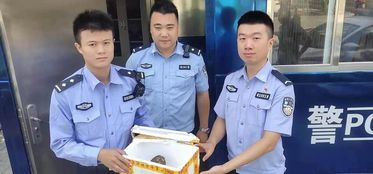 大眼‘萌’禽在校园中流落，警民合力成功救助