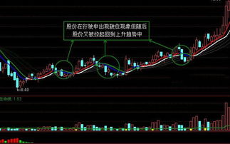 探索1元股陷阱，理性看待股票投资的收益与风险