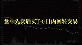 探索1元股陷阱，理性看待股票投资的收益与风险