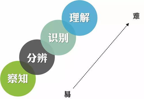 理解：听觉与行动的复杂关联——探索运动的感知信息是否也影响了我们的判断和行为