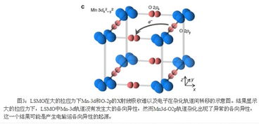 理解：听觉与行动的复杂关联——探索运动的感知信息是否也影响了我们的判断和行为