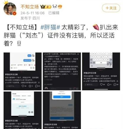 胖猫姐姐晒死亡证明，造谣博主道歉删视频