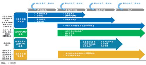 中国CXO极限推演：药明康德的现状与展望