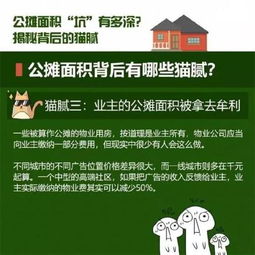 多城放宽政策，优化公摊面积设置，保障购房者权益