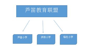 河南禹州教育资源优化：让每个孩子都能享受到优质教育