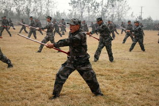 福建武警新兵刺杀演练，展现卓越军事技能和果断执行力