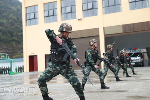 福建武警新兵刺杀演练，展现卓越军事技能和果断执行力