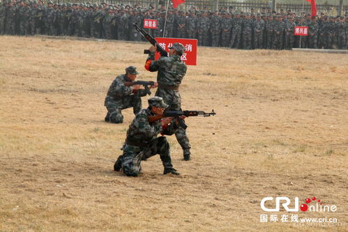 福建武警新兵刺杀演练，展现卓越军事技能和果断执行力