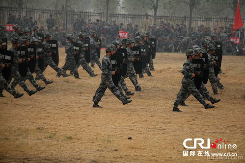 福建武警新兵刺杀演练，展现卓越军事技能和果断执行力