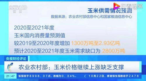 贵州法院撤销数万避孕套拍卖信息，回应：后续会逐步恢复