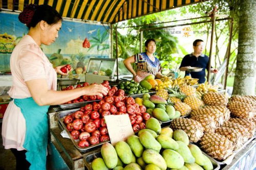 天价水果皇后价格大跳水：曾一路飙升至每斤800元的高价水果，今年为何跌落至300元一斤?