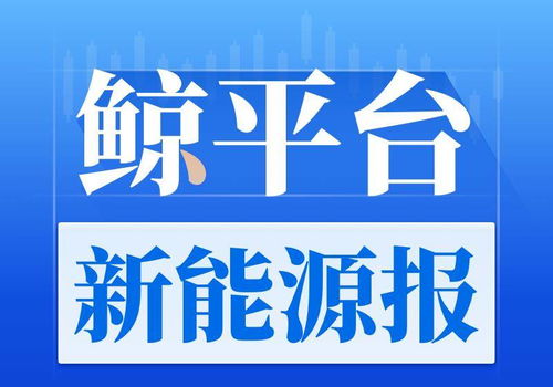 理想汽车诉集团状曝光：投资者疑因夸大需求误导，公司或面临集体诉讼挑战