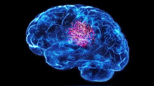 科学家最新揭示：人的大脑可能比想象中大得多——仅由一粒米大小的神经元构成