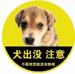 男童狂犬病离世案：市疾控专家调查免疫失败原因