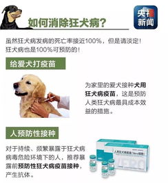 男童狂犬病离世案：市疾控专家调查免疫失败原因