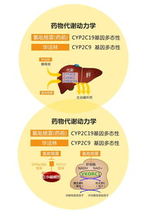 武汉专家精准‘减胎’，大宝有遗传缺陷，女子怀双胞胎遇基因问题：保全健康的未来宝贝