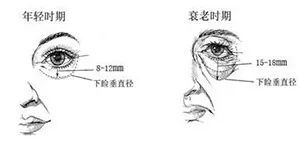 特朗普突然入睡，醒来后眼神未眠，头部轻微摇晃和眼睑紧闭的震撼场景被捕捉到