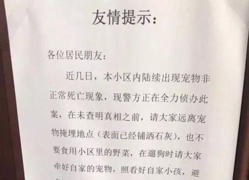 反思与应对：深圳社区宣传活动册引发争议 - 重新制作的承诺