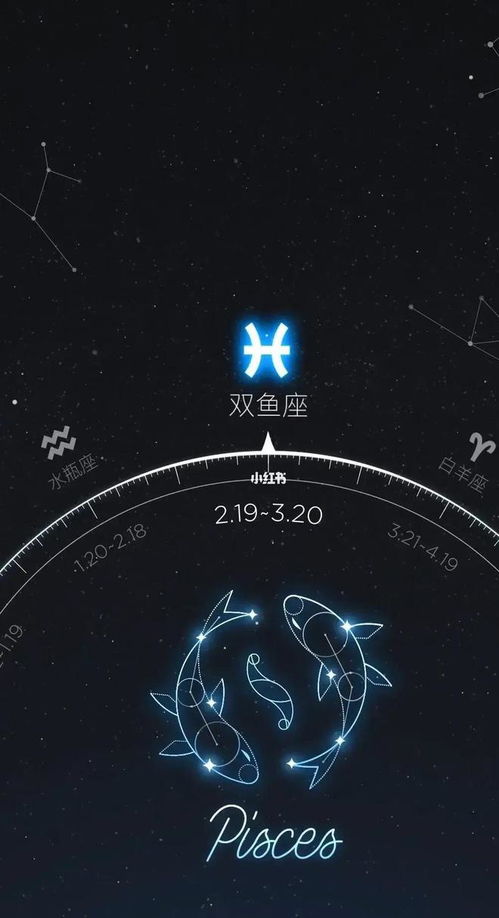 2024年考试顺利上岸的星座：掌握关键技能并相信自己，你一定会成功！