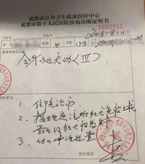 关于小男孩狗咬伤事件的深度报道：专家警告，及时处理至关重要