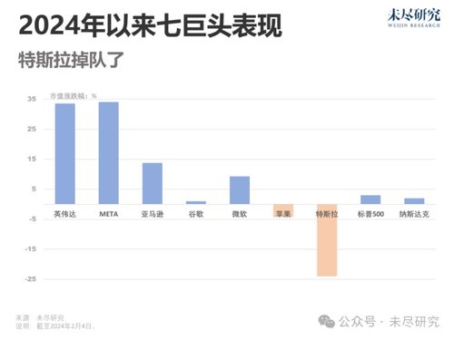 特斯拉最大散户股东坚持反对马斯克560亿美元薪酬方案