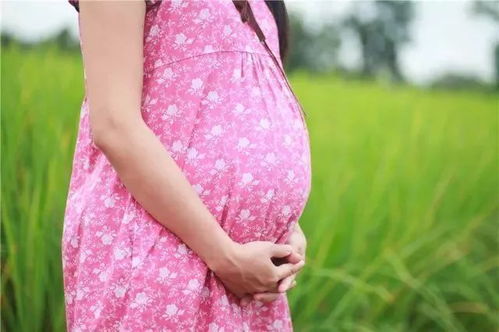 罕见的早产婴儿：在日本女子的照顾下，她成长为了出色的选美皇后。与生母相认时，母子间的深厚感情让人动容。