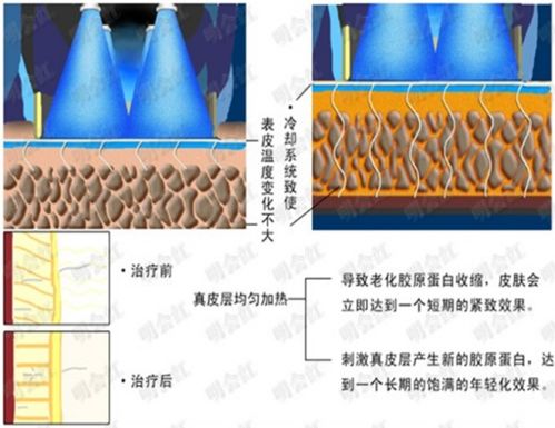 照片揭示39岁博主路旁乱丢垃圾细节，网友感慨十年品质未改