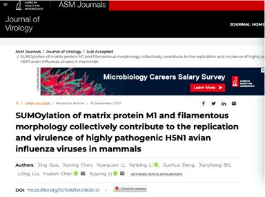 密切关注！H5N1禽流感已致人死亡率逼近52%，如何做好防控？