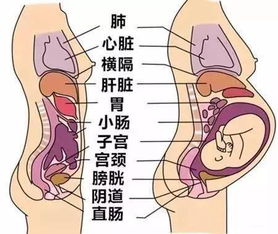 紧急：高龄妊娠母孕晚期出现严重子痫现象，是危机重重的产科紧急症！