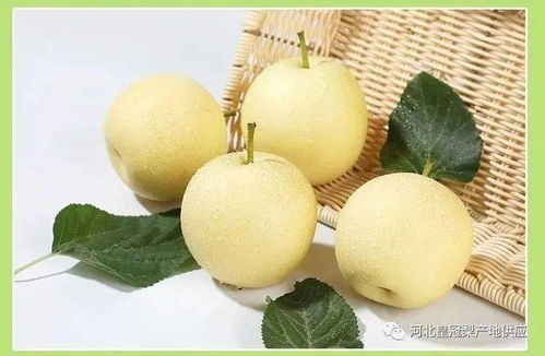 今年反转! 梨竟成为颠覆传统定义的「烂果」，可能颠覆我们对水果的认识!