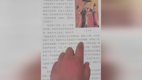 《中听：从血统到拼多多，不同的婚姻拼法》