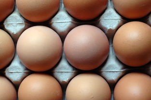 最新科研揭示：摄入鸡蛋、内脏等食物加速中老年女性衰老