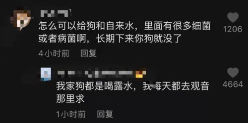 郭有才：为什么歌声不足以征服千万网民的内心